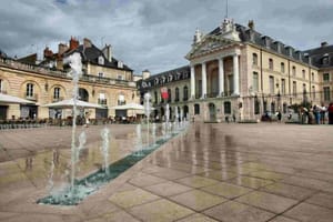 dijon-image.jpg